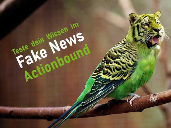 Fake News - Actionbound (Donnerstag, 05. August 2021)