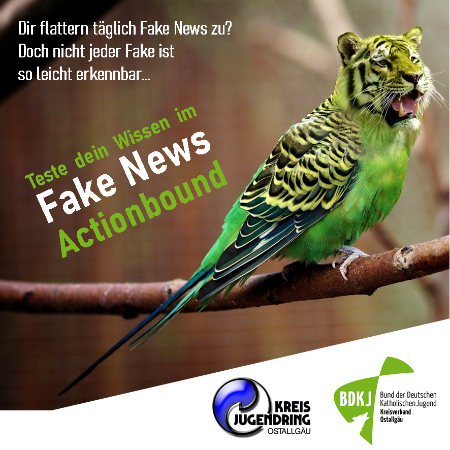 Fake News - Actionbound (Donnerstag, 05. August 2021)