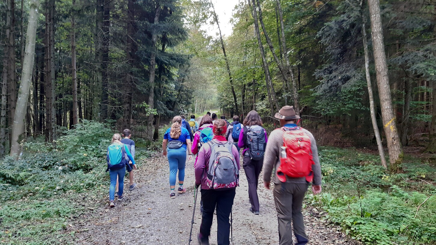 Pilgern über Stock & Stein, Wald & Wiese (Montag, 09. Oktober 2023)
